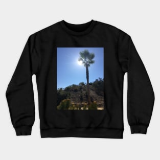 Palm Tree under the Sun Crewneck Sweatshirt